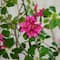 5ft. Artificial Dogwood Tree with Real Touch Leaves